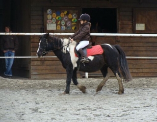  Horse riding for all La Baule Escoublac 